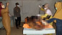 Pemuda di Desa Samba Katung Kecamatan Katingan Tengah MJNA (20) yang tega membunuh pamannya sendiri