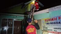 Panjat Pohon dan Atap Rumah Untuk Evakuasi Sarang Tawon