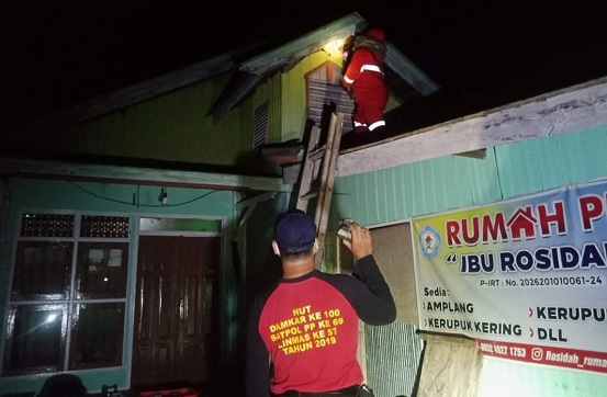 Panjat Pohon dan Atap Rumah Untuk Evakuasi Sarang Tawon