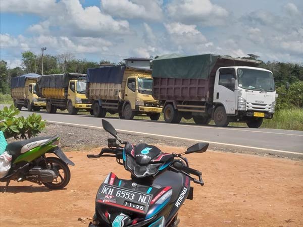 Aktivitas pengangkutan kayu log di Kabupaten Katingan