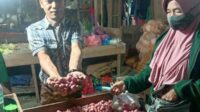 Dinas Perdagangan dan Perindustrian (Disperdagin) Kabupaten Kotawaringin Timur (Kotim) merespons cepat kabar peredaran bawang merah yang diduga ilegal di pasar tradisional Kota Sampit