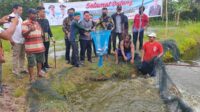 Bupati Kotawaringin Timur (Kotim) Halikinnor menghadiri panen ikan patin yang dilakukan di kolam milik Kelompok Pembudidaya Ikan