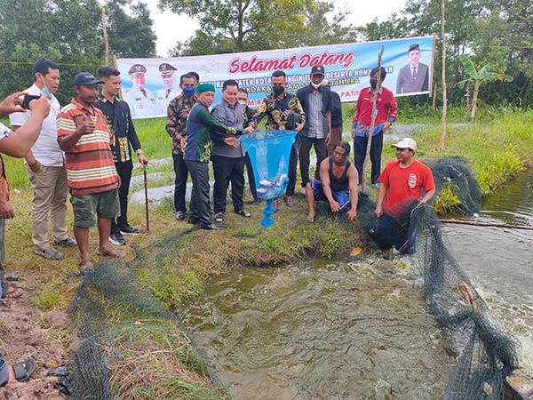 Bupati Kotawaringin Timur (Kotim) Halikinnor menghadiri panen ikan patin yang dilakukan di kolam milik Kelompok Pembudidaya Ikan