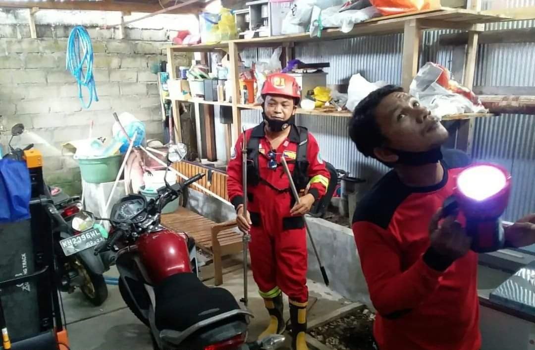 ular masuk rumah warga
