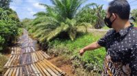 Direktorat Kepolisian Air dan Udara (Ditpolairud) Polda Kalteng mengungkap kasus ilegal logging