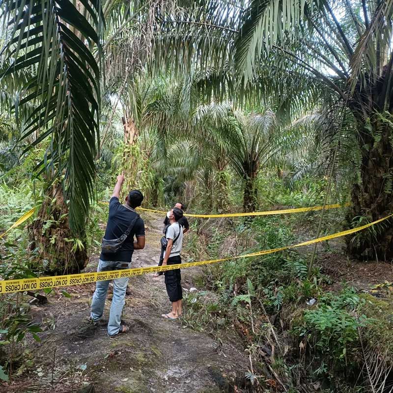 Jatanras Polda Kalteng Bantu Selidiki Pembunuhan Karyawan Sawit