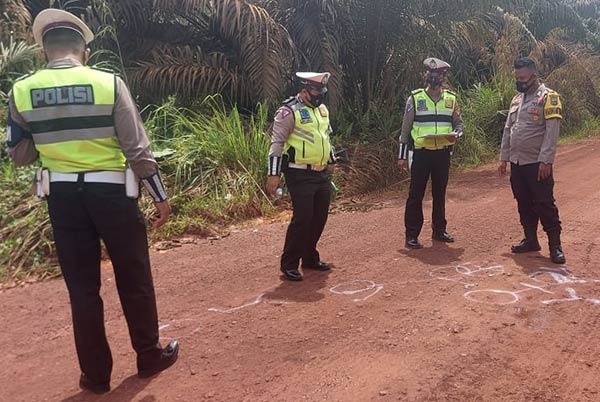 Begini Kronologi Kecelakaan Maut Tewaskan Tiga Orang di Areal Perkebunan
