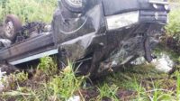 Kecelakaan tunggal yang menimpa sebuah pikap di jalan Trans Kalimatan