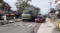 Raksasa Jalanan Makin Bebas Lintasi Jalur Kota Pangkalan Bun