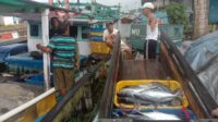 Lima Tahun Ini Tangkapan Ikan Nelayan Kobar Meningkat
