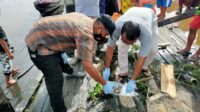 Niat Hati Menjaring Ikan Yang Didapat Potongan Tangan