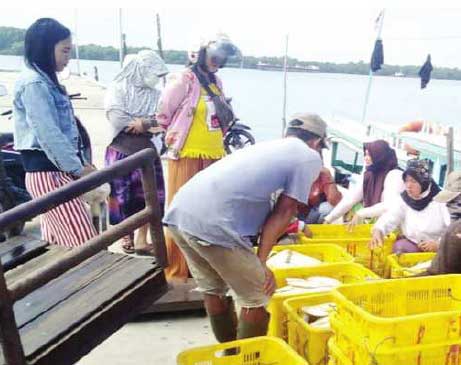 Nelayan Luar Daerah Serbu Perairan Kalteng saat Musim Rajungan