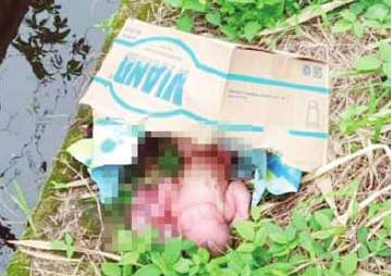 pembuangan bayi kembali terjadi di Kabupaten Kotawaringin Timur (Kotim)
