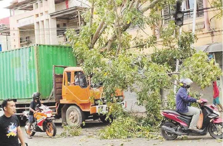 Hindari Mobil Truk Nyangkut di Pohon