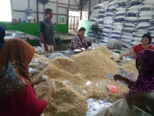 para pengrajin tempe