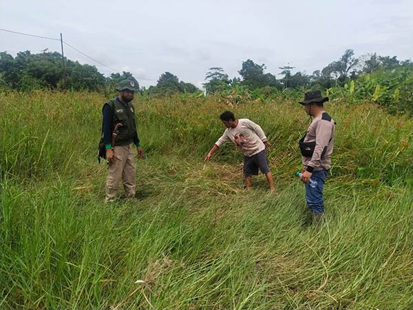 Jenazah perempuan yang ditemukan di Dusun Teluk Tiwah