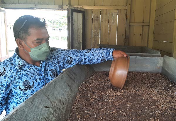 Melihat Budidaya Maggot di SMAN 1 Kurun