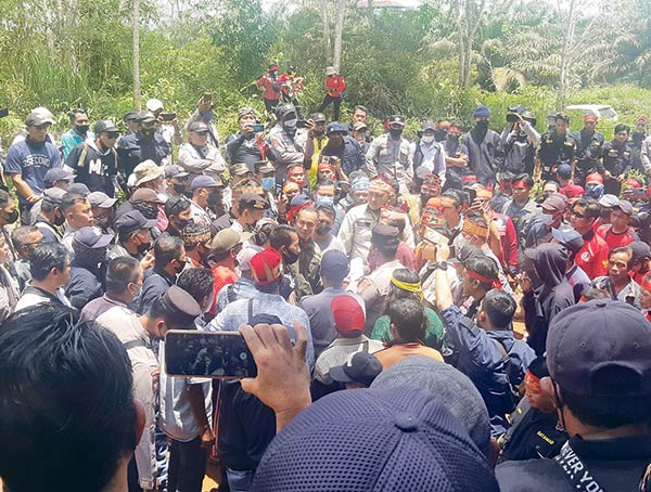 Pemegang Izin Usaha Pengelolaan Hutan Kemasyarakatan (IUPHKm) Koperasi Cempaga Perkasa akan melakukan panen massal sawit di areal izin usaha mereka.,Koperasi Cempaga Perkasa,sawit,kebun sawit,harga sawit hari ini,IUPHKm,Pemegang Izin Usaha Pengelolaan Hutan Kemasyarakatan,radar sampit,radar sampit hari ini