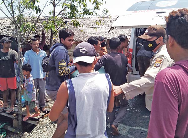 Buaya yang hidup di Daerah Aliran Sungai Sebangau