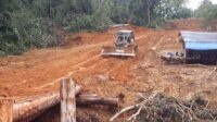 Begini Perjalanan Proyek Jalan Tembus Sebelas Desa di Katingan Hulu