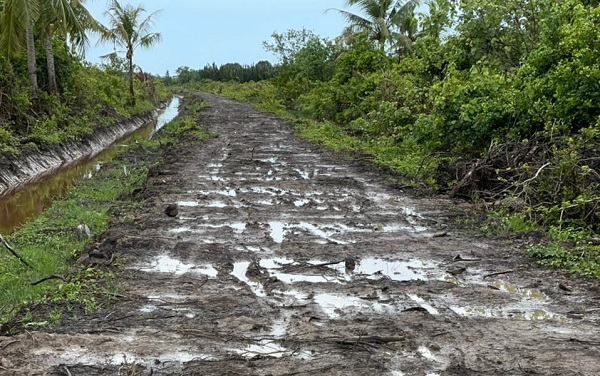 Jalan Desa Sungai Cabang Butuh Sentuhan