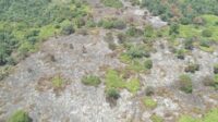 Guna memastikan api yang membakar hutan dan lahan benar-benar padam