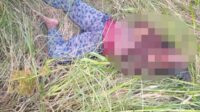 Nenek Meninggal di Kebun dengan Wajah Rusak