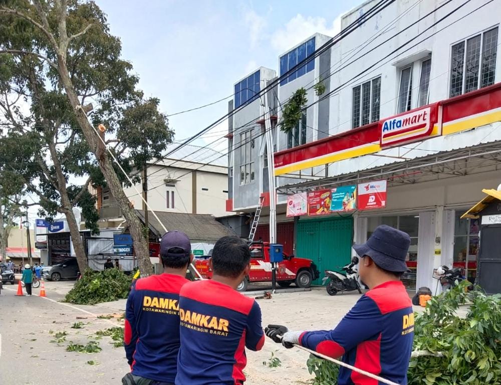 Waspada Serangan Cuaca Ekstrem Damkar Tebangi Pohon Rawan Tumbang