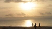 Destinasi wisata andalan Kabupaten Kotawaringun Timur (Kotim) Pantai Ujung Pandaran bakal dikembangkan secara keroyokan