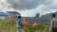 Kebakaran Lahan,Kelurahan Sabaru