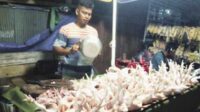 Harga Ayam Potong di sampit Naik Lagi