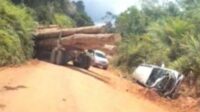 Mobil Tabrakan dengan Truk Logging Sekretaris DLH Selamat dari Maut