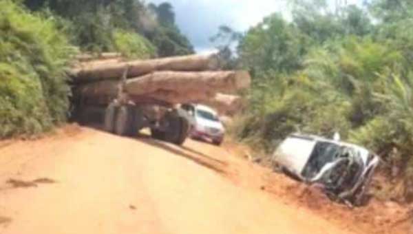 Mobil Tabrakan dengan Truk Logging Sekretaris DLH Selamat dari Maut
