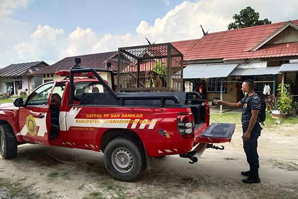 Dua anjing peliharaan warga Perumahan Graha Mas VI BTN Tora