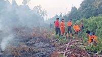 Kebakaran hutan dan lahan kembali melanda Desa Kubu