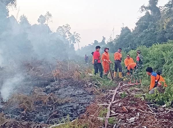 Kebakaran hutan dan lahan kembali melanda Desa Kubu