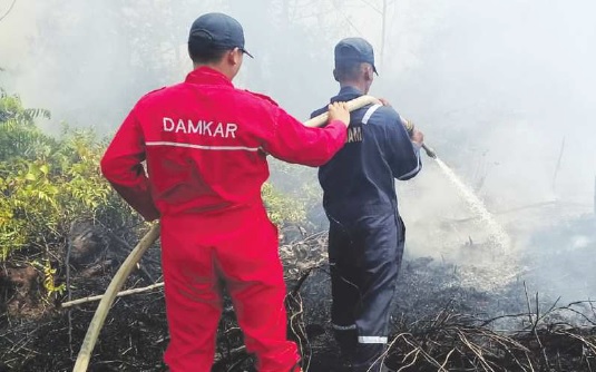 kecamatan jekan raya,Rawan Karhutla di Jekan Raya