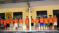 Belasan Pencuri Sawit Digulung Aparat