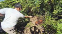 Seorang kakek penghuni Panti Sosial Tresna Werdha Sinta Rangkang milik Dinsos Kalteng