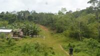 haji asang triasha dibebaskan,vonis haji asang triasha,pembangunan jalan katingan hulu,korupsi