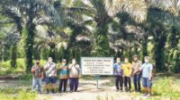 Usaha perkebunan kelapa sawit menjanjikan masa depan yang lebih baik