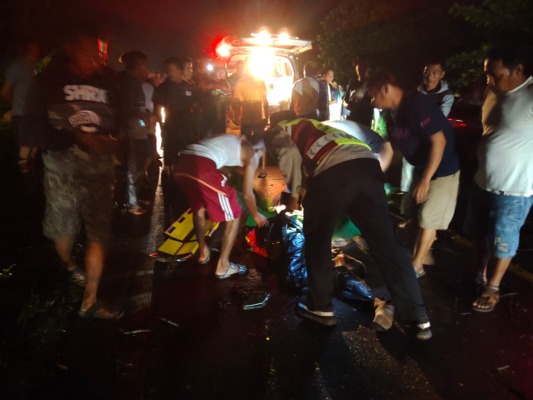 berkendara malam hari,Tabrak Pohon Tumbang