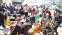 ANJING-PELACAK-ARUS-BALIK