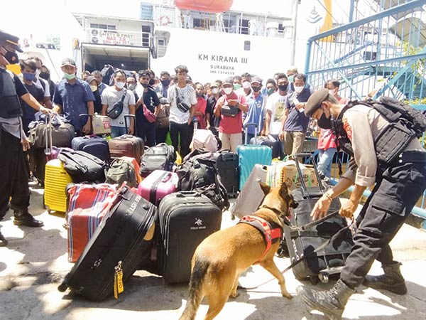 ANJING-PELACAK-ARUS-BALIK