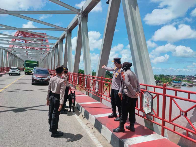 ANJING PELACAK CARI ORANG HILANG