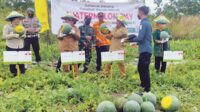 Bupati Kotim Halikinnor