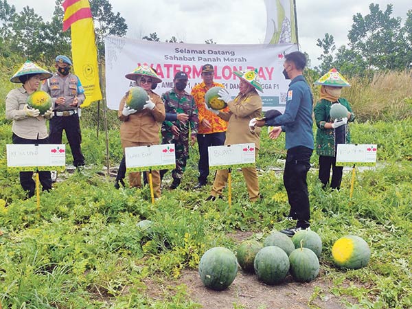 Bupati Kotim Halikinnor