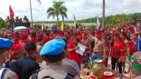 Demo mustika sembuluh