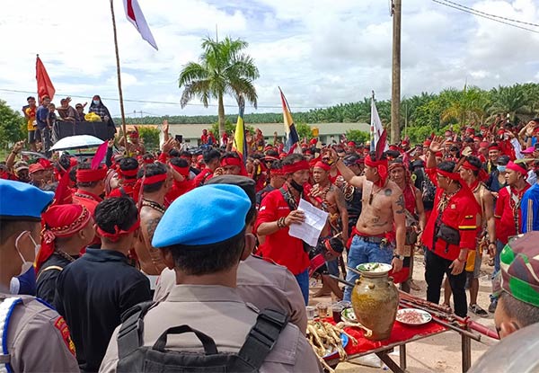 Demo mustika sembuluh