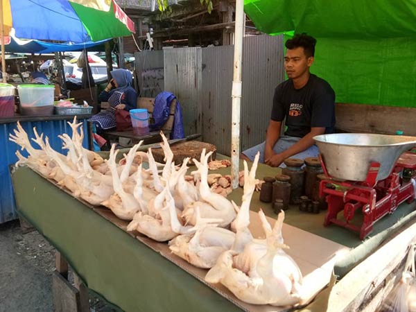 harga ayam di pasar tradisional Sampit mulai turun